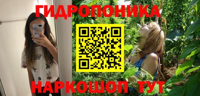прущая мука Кингисепп